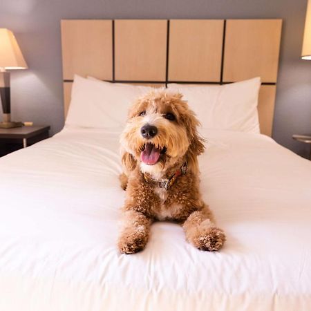 Sonesta Simply Suites Minneapolis Ричфийлд Екстериор снимка